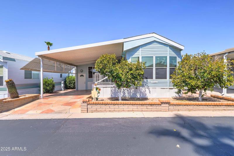 Front and orange trees_417 - Copy