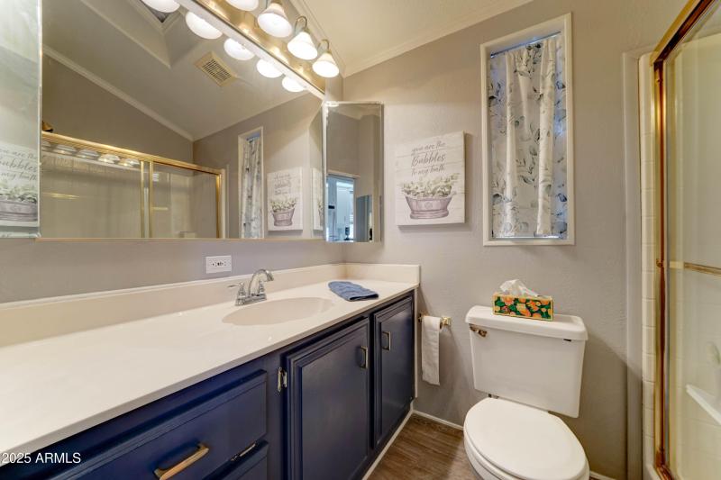 Main bath_Walk in shower and lots of sto