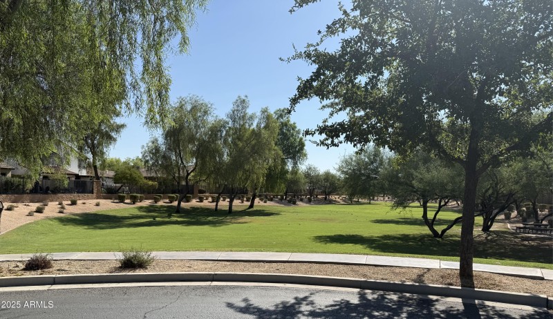 GrassyArea