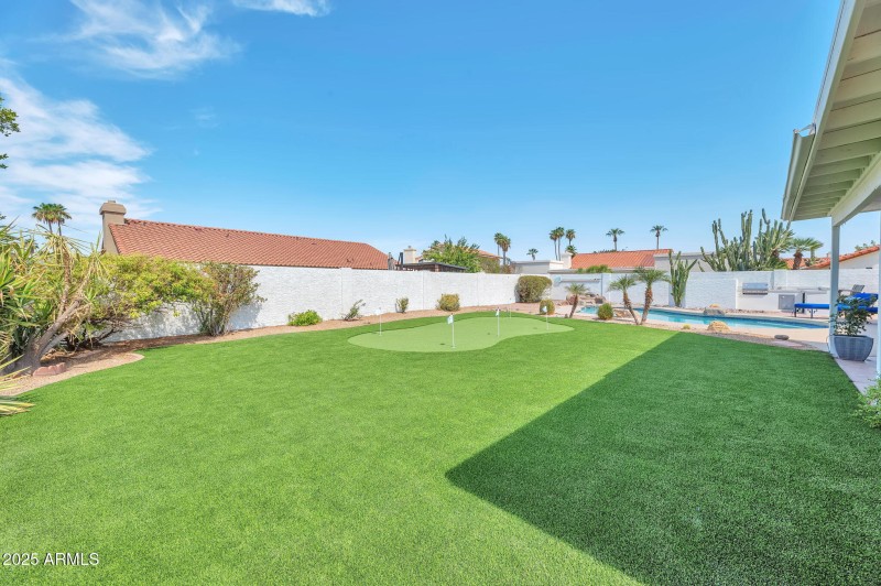 backyard