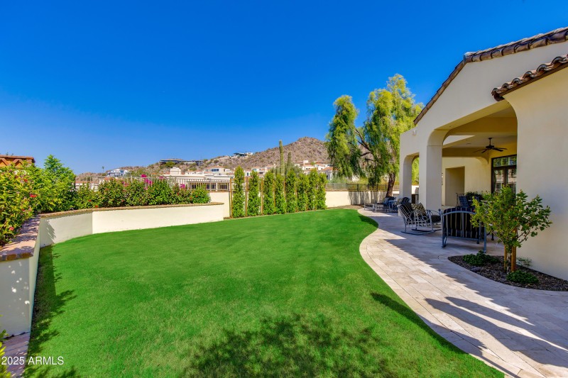 Backyard