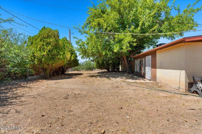 15-Backyard