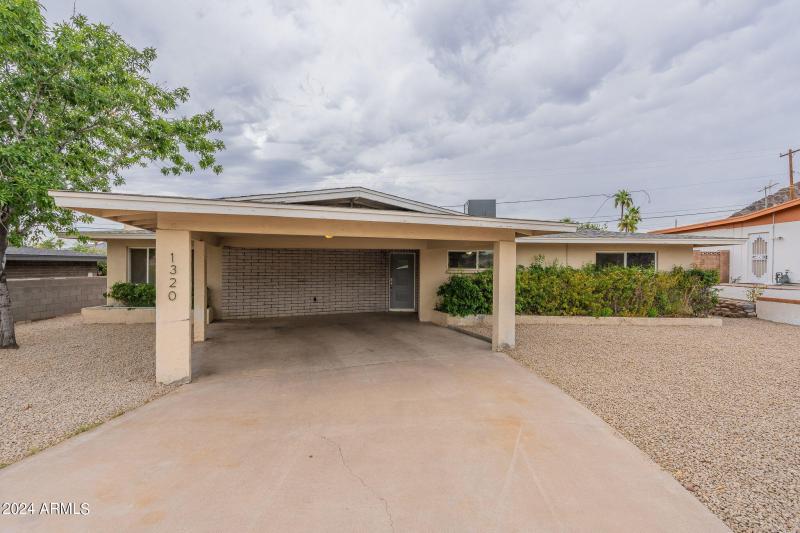 3-web-or-mls-Orchid-3