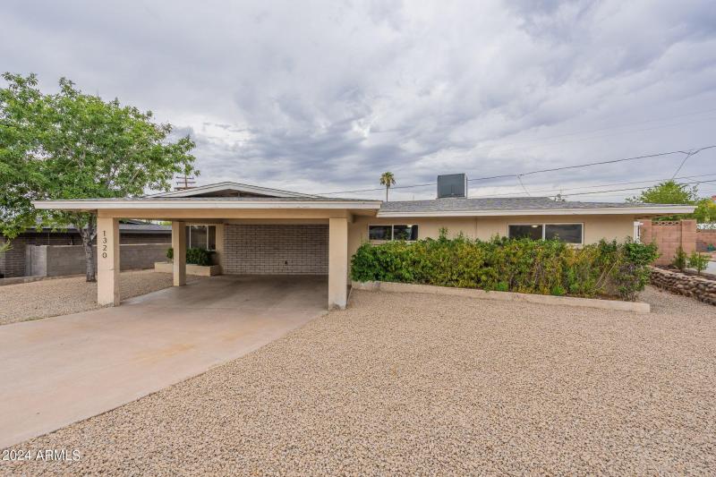 4-web-or-mls-Orchid-4