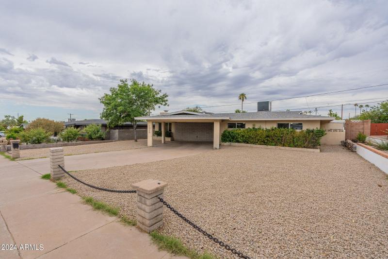 5-web-or-mls-Orchid-5