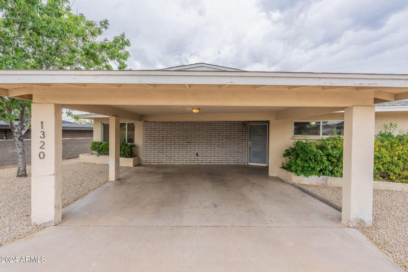 6-web-or-mls-Orchid-6