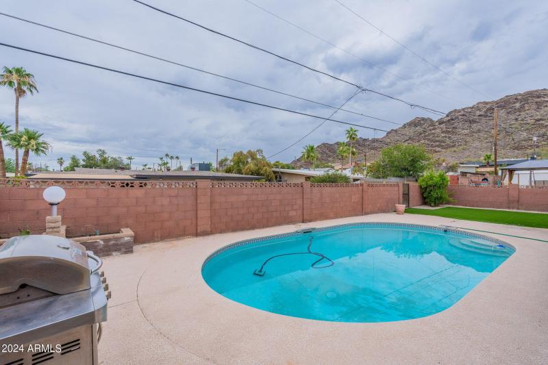 40-web-or-mls-Orchid-40