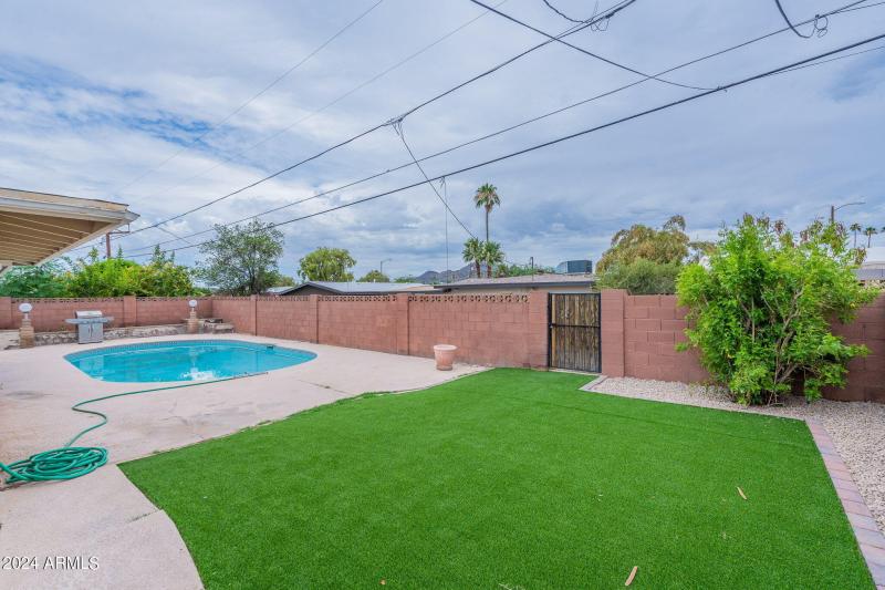 44-web-or-mls-Orchid-44