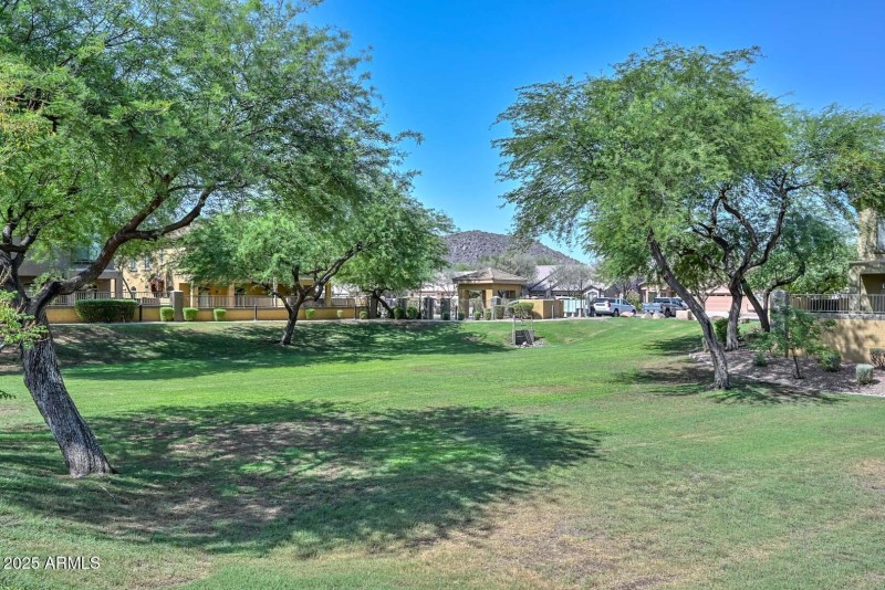 Common Area Views