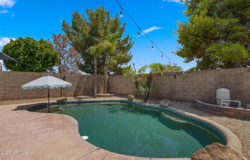 Backyard6