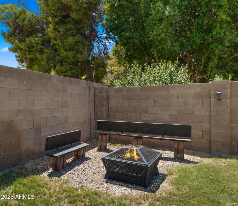 Backyard8