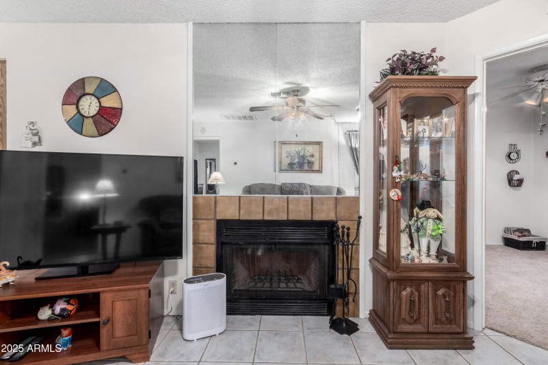SueFireplace