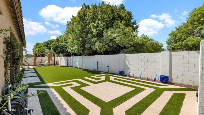Backyard