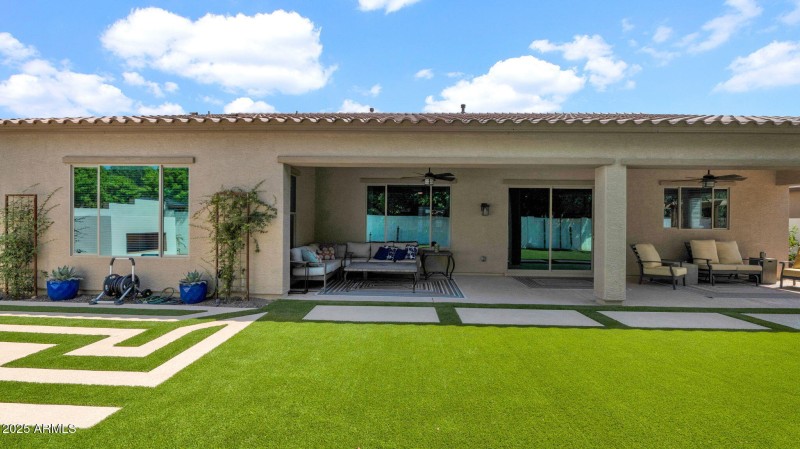 Backyard