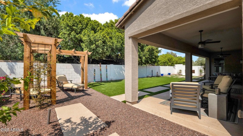 Backyard