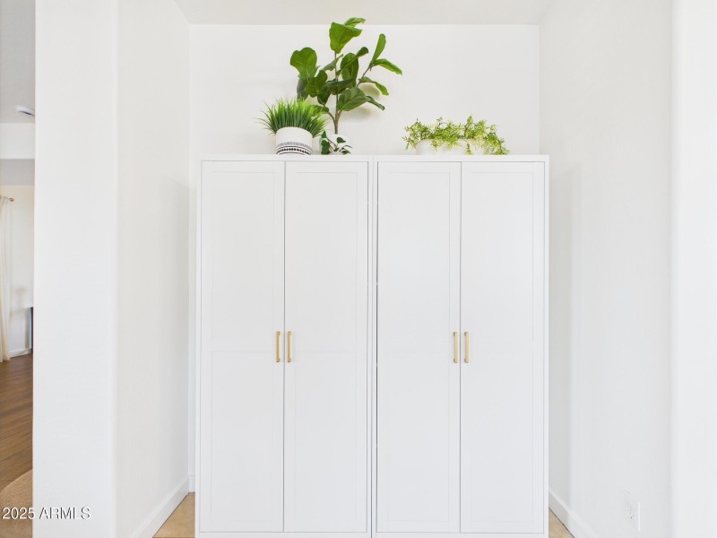 Sleek Storage Cabinet
