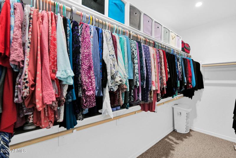 31-web-or-mls-P1279957