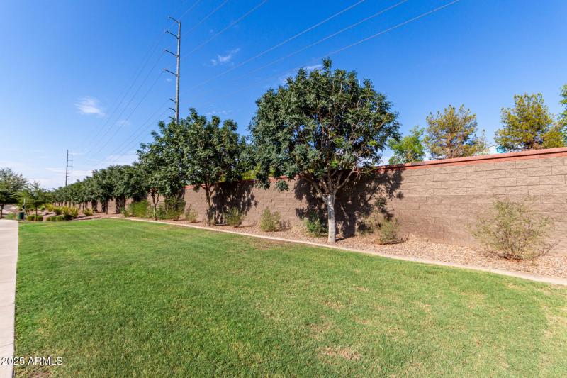 37 Arizona
