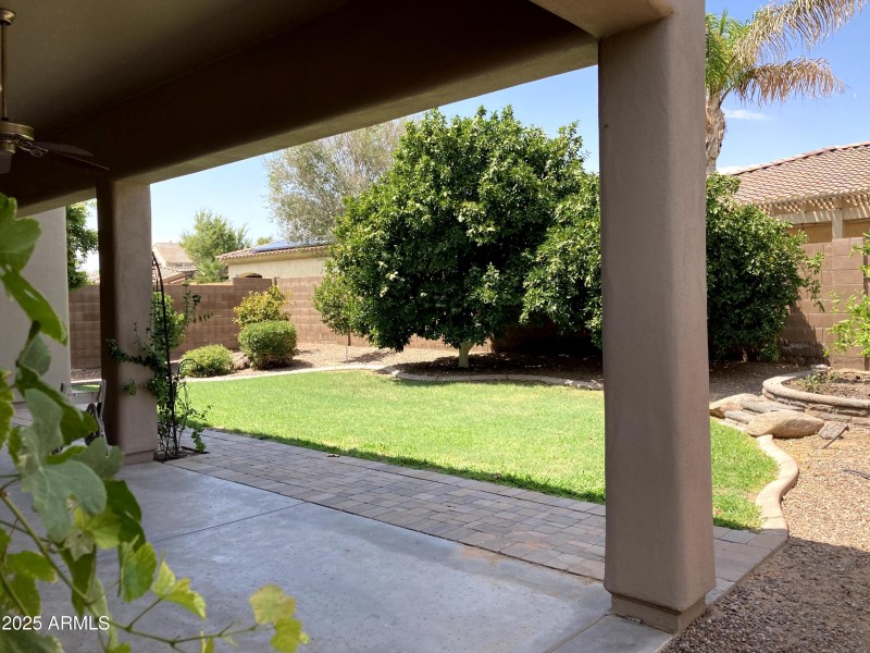 Backyard 2