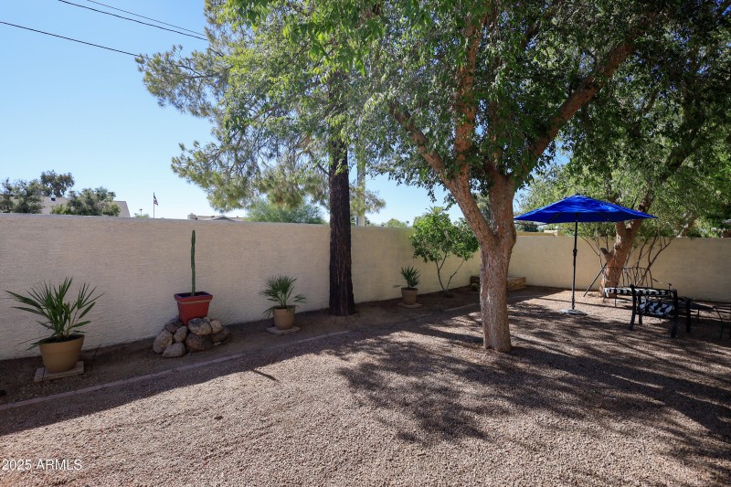 11840 N 40th Way. House Back Yard 3