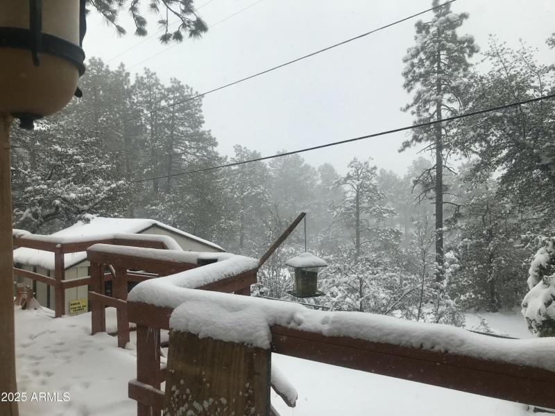 Cabin in the snow