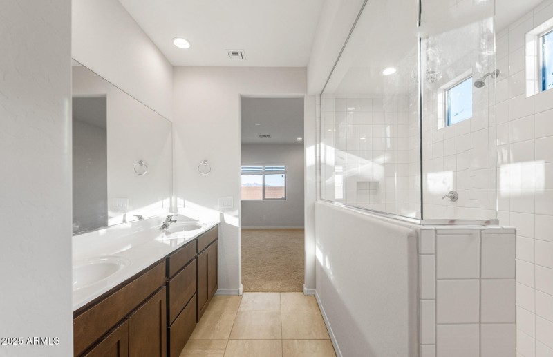 Owner's Bathroom