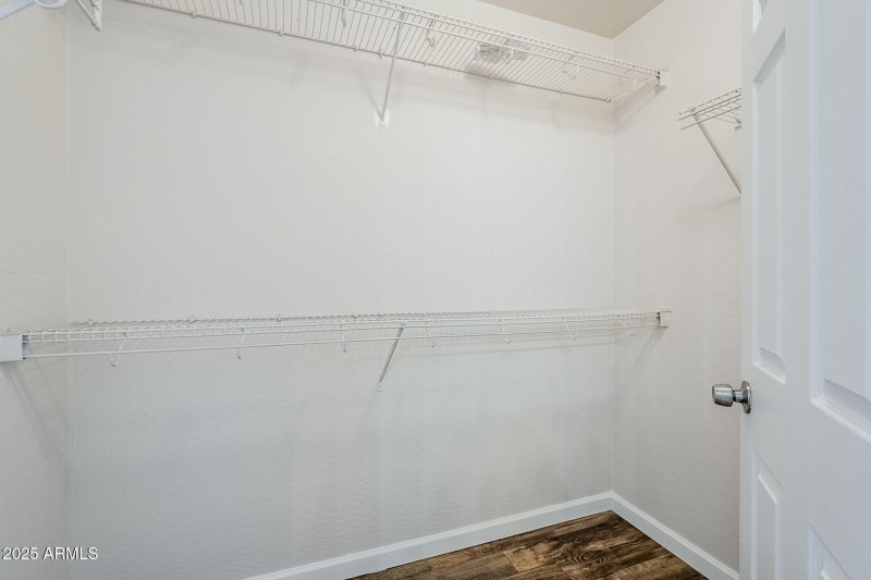 31-web-or-mls-101st-31