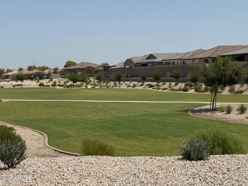 Common Area - Grass2