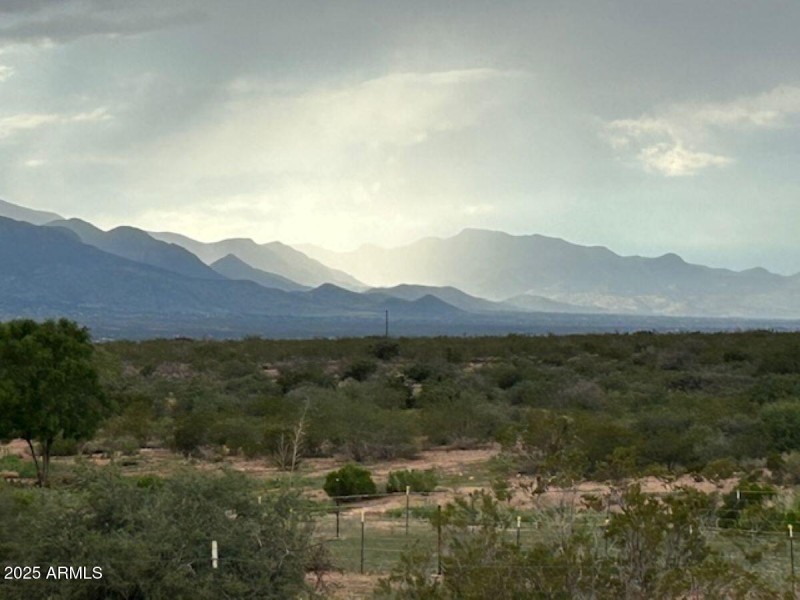 Rain on the Mule Mountains