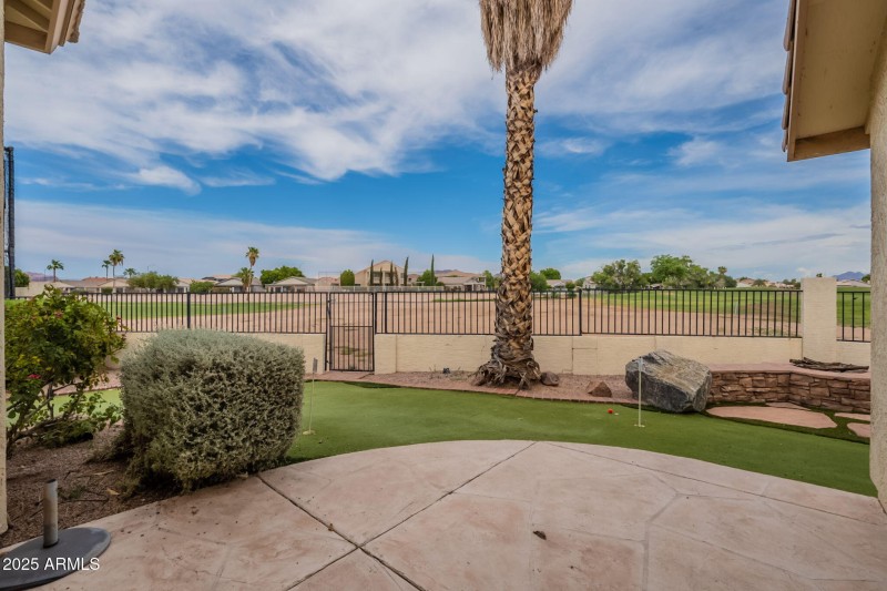 Backyard