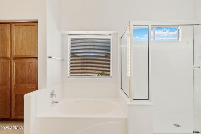 Owner's Bathroom