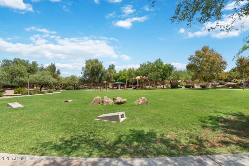 Community Park