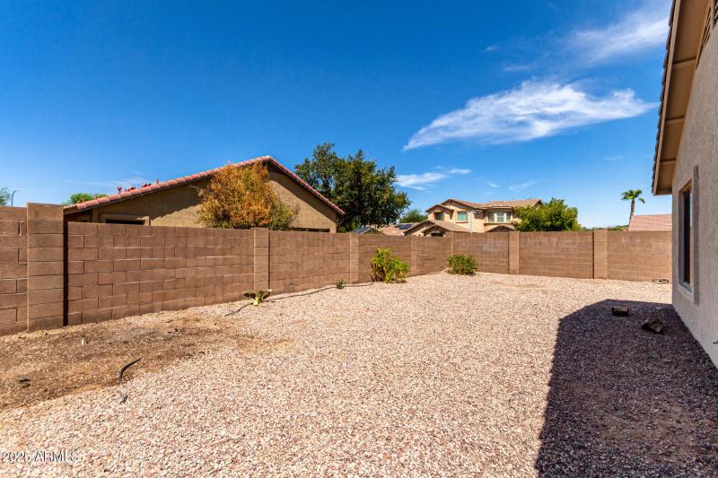 29 Saguaro