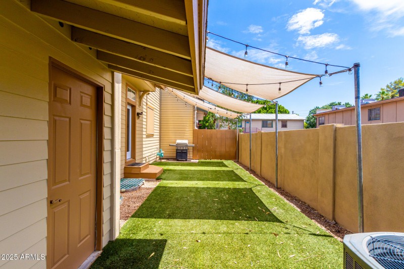 Backyard