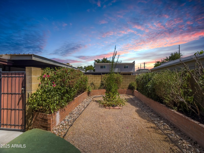 Twilight-Backyard