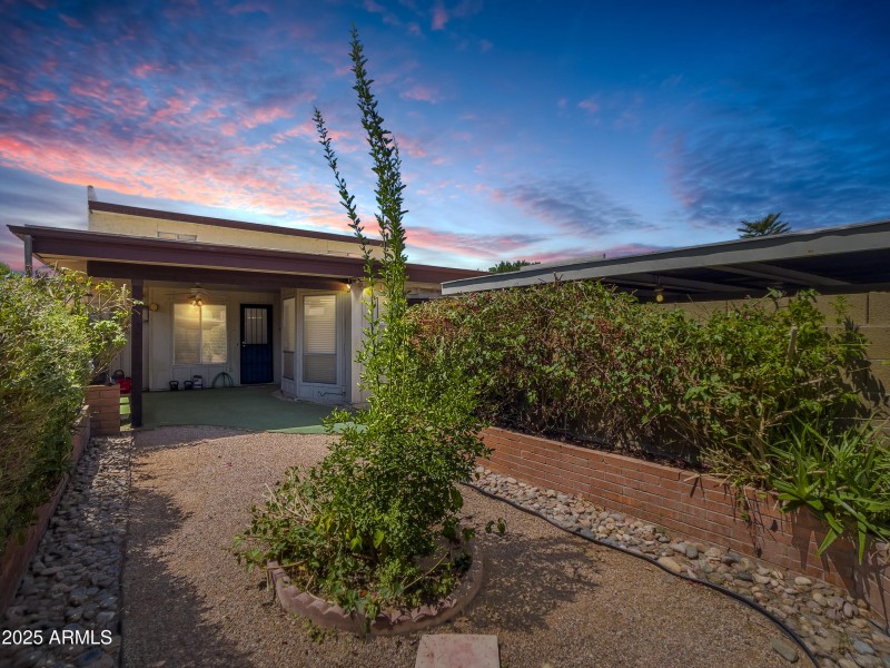 Twilight Backyard