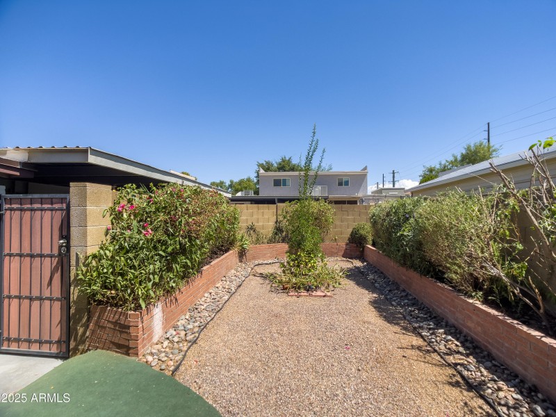 Back Yard