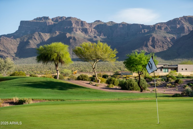 gold course