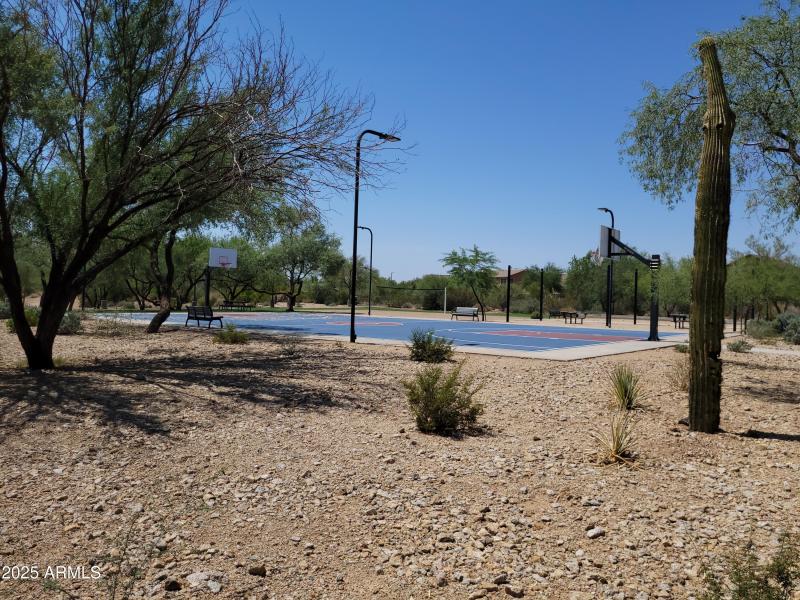 Basketball Courts