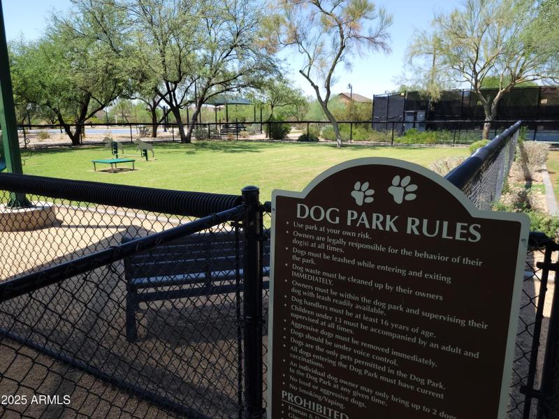 Dog Park
