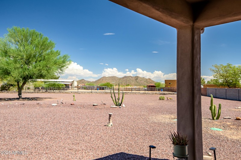 Large Fenced Backyard