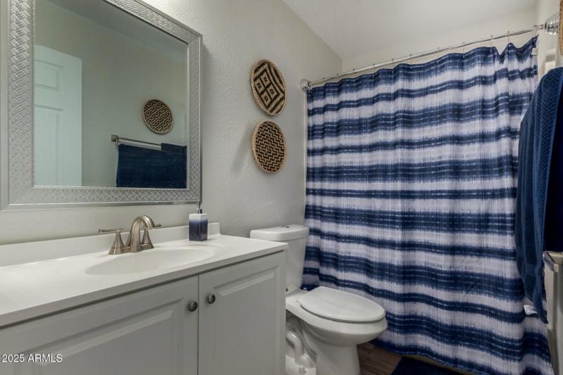 Updated Hall Bathroom