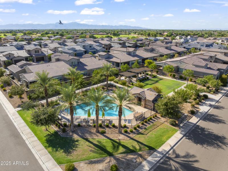 Community Pool and Common Area