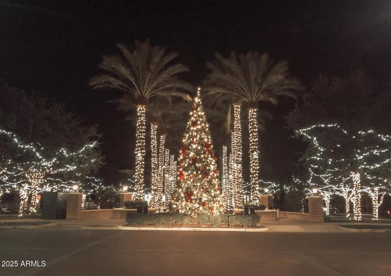 Screen Shot 2021-11-02 at 11.31.32 AM