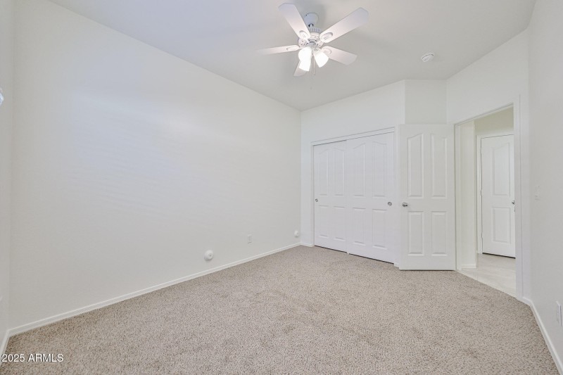 New Carpet