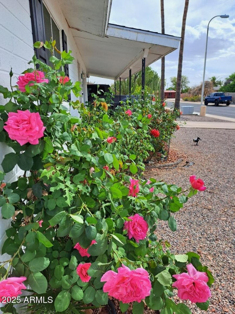 Photo Apr 01 2025, 2 30 13 PM (1)