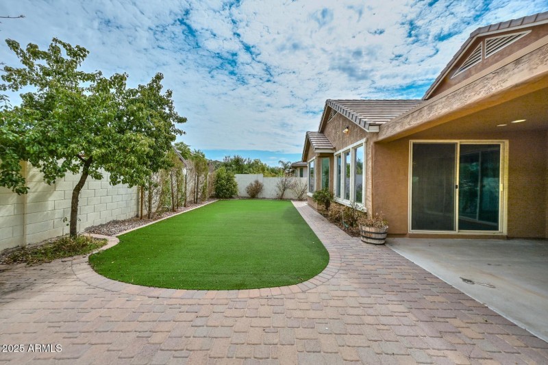 Backyard