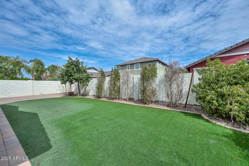 Backyard2