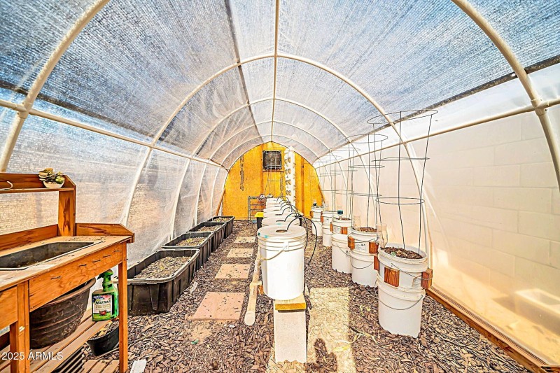 Greenhouse Interior
