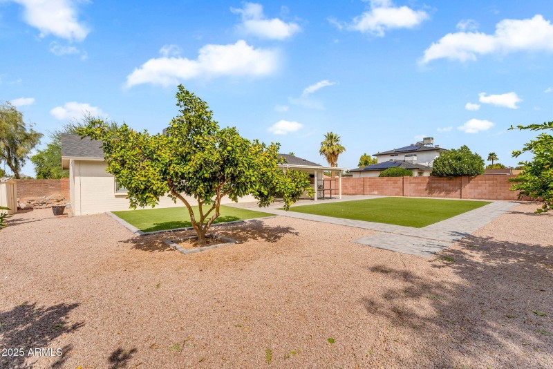 Backyard